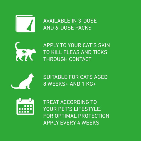 FRONTLINE Plus Flea & Tick Treatment for Cats & Ferrets – 6 Pipettes